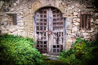 Le cantine a Ischia - Guida alle case vinicole